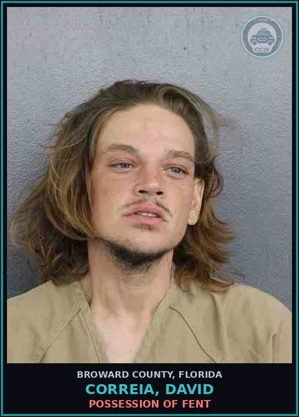 Booking mugshot of CORREIA, DAVID in Broward County