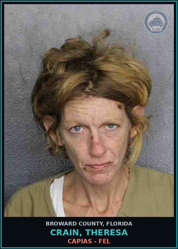 Booking mugshot of CRAIN, THERESA in Broward County