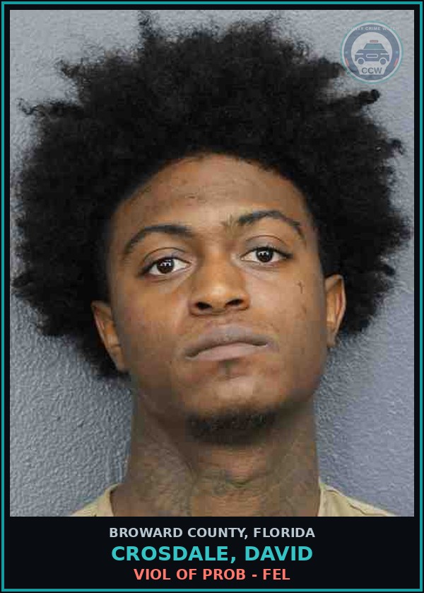 Booking mugshot of CROSDALE, DAVID in Broward County