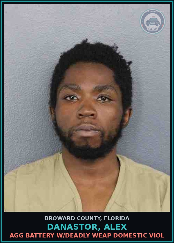 Booking mugshot of DANASTOR, ALEX in Broward County