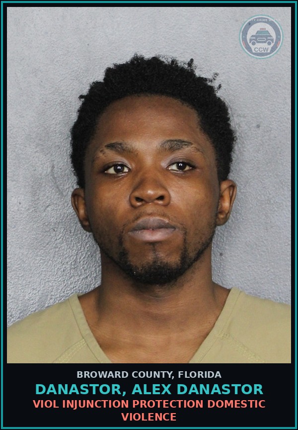 Booking mugshot of DANASTOR, ALEX DANASTOR in Broward County