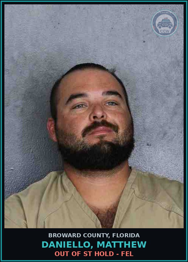 Booking mugshot of DANIELLO, MATTHEW in Broward County