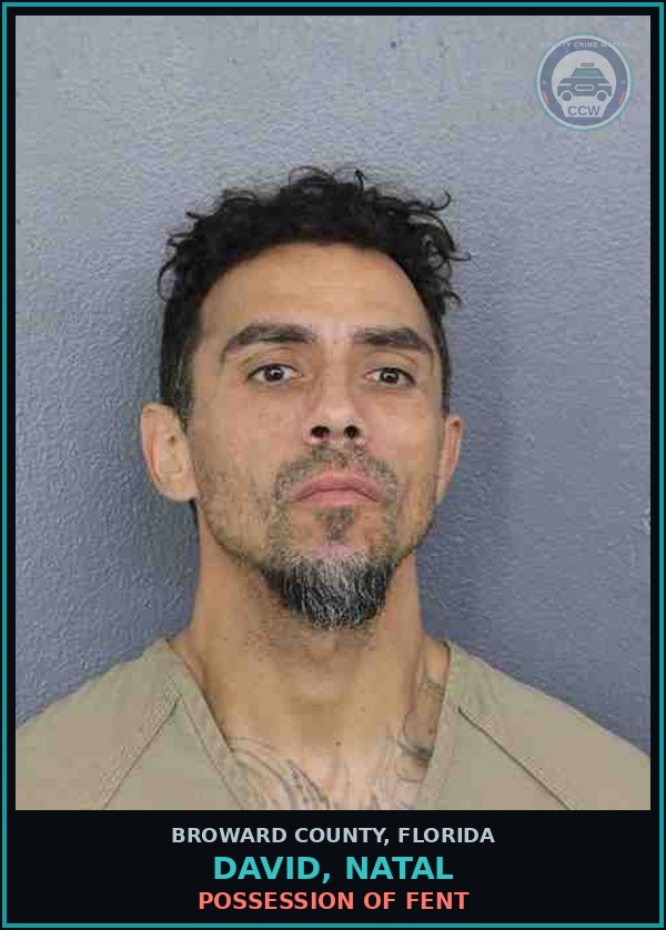 Booking mugshot of DAVID, NATAL in Broward County
