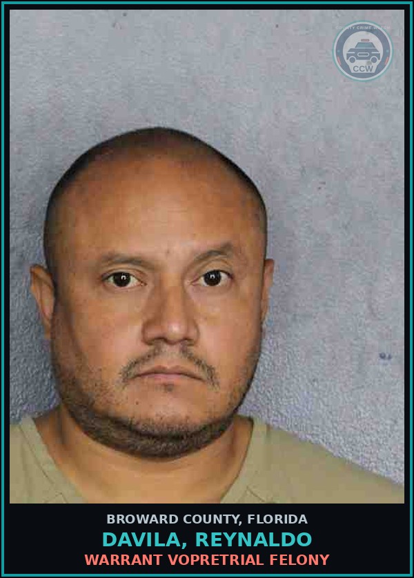 Booking mugshot of DAVILA, REYNALDO in Broward County