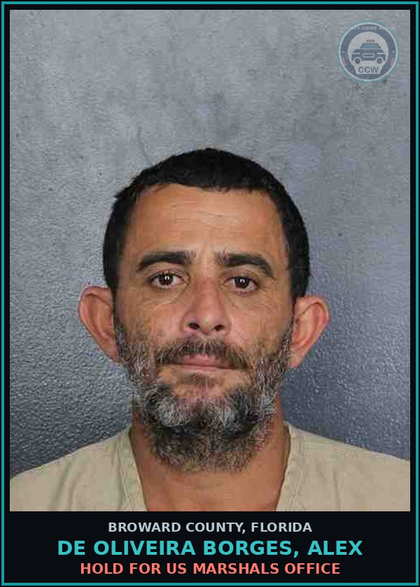 Booking mugshot of DE OLIVEIRA BORGES, ALEX in Broward County