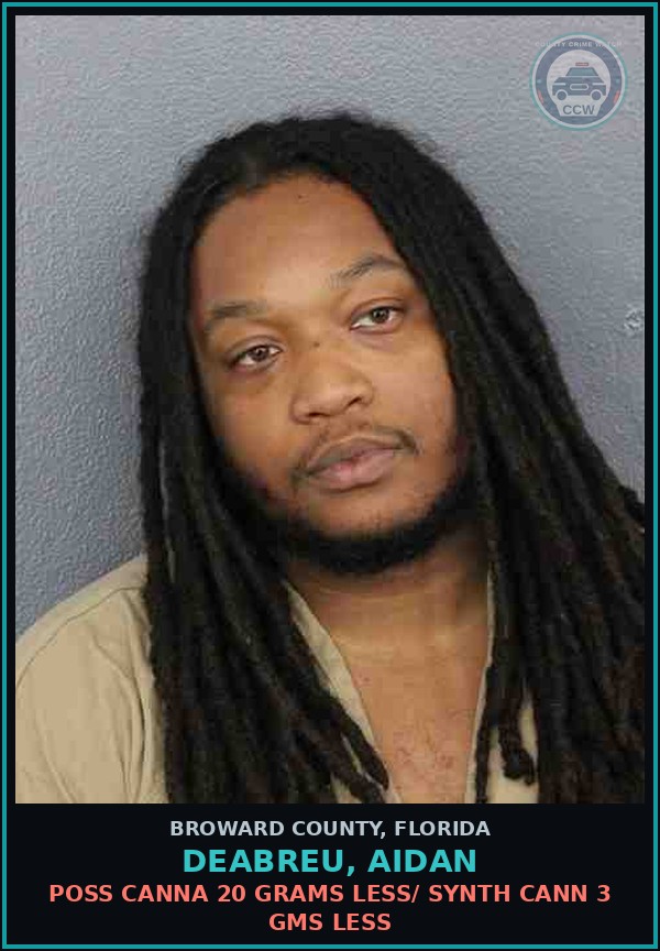 Booking mugshot of DEABREU, AIDAN in Broward County