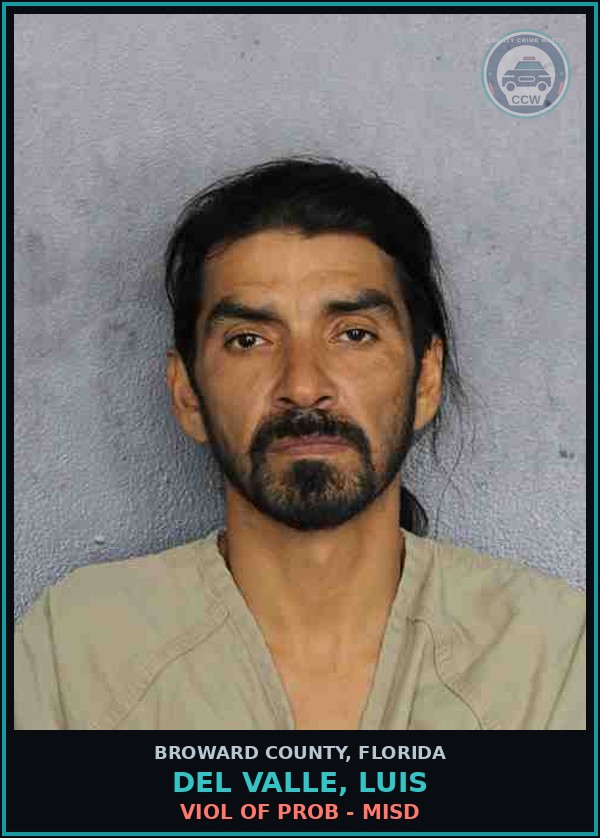 Booking mugshot of DEL VALLE, LUIS in Broward County