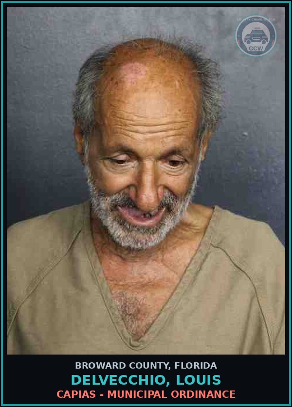 Booking mugshot of DELVECCHIO, LOUIS in Broward County