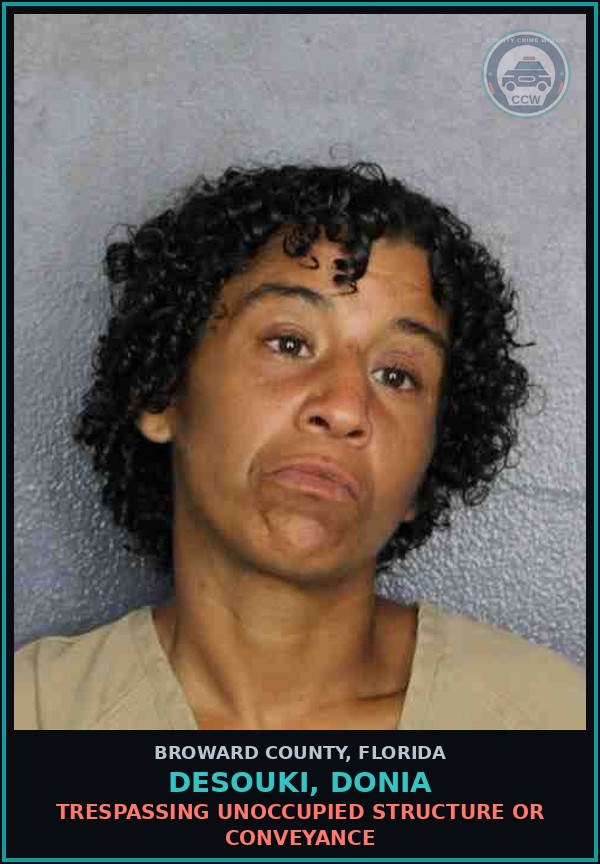 Booking mugshot of DESOUKI, DONIA in Broward County