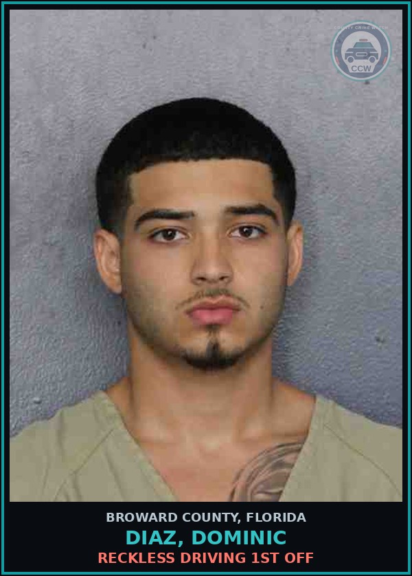 Booking mugshot of DIAZ, DOMINIC in Broward County