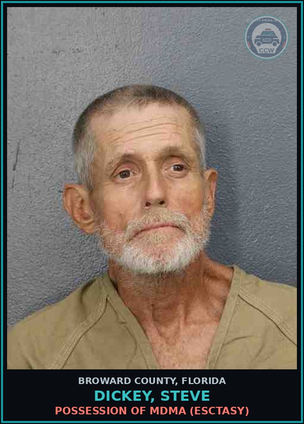 Booking mugshot of DICKEY, STEVE in Broward County