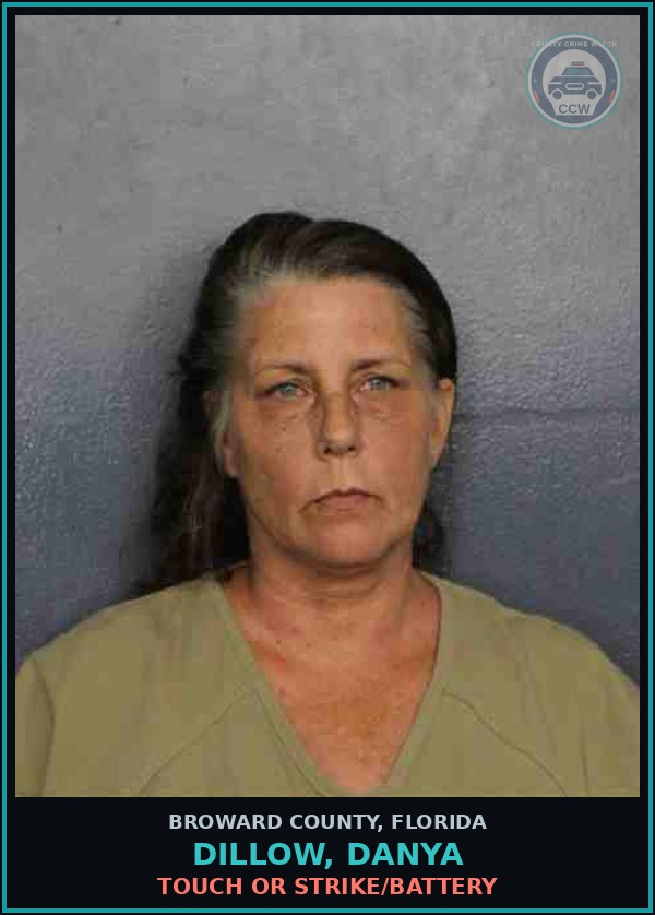 Booking mugshot of DILLOW, DANYA in Broward County