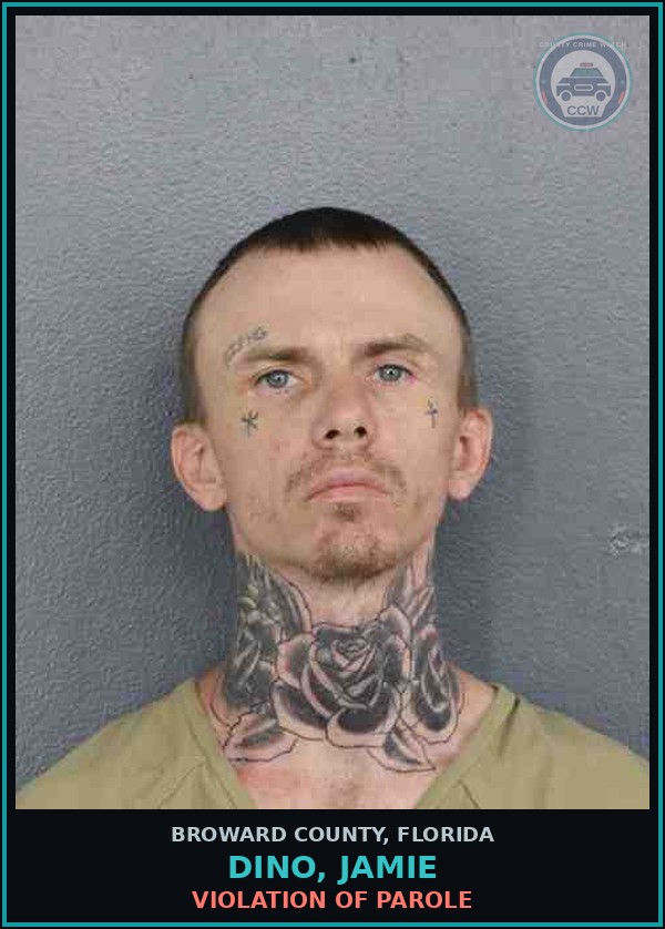 Booking mugshot of DINO, JAMIE in Broward County