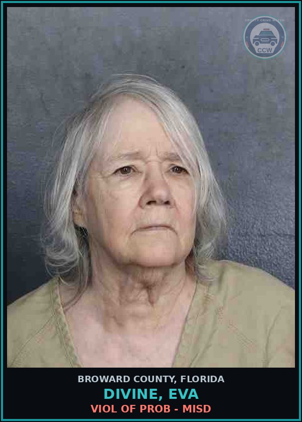 Booking mugshot of DIVINE, EVA in Broward County
