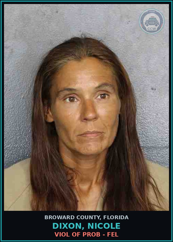 Booking mugshot of DIXON, NICOLE in Broward County