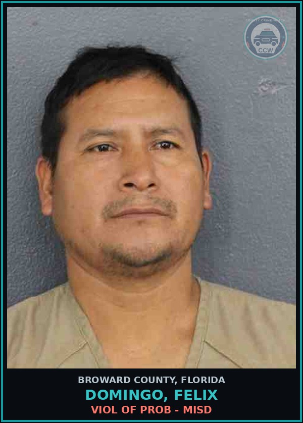 Booking mugshot of DOMINGO, FELIX in Broward County