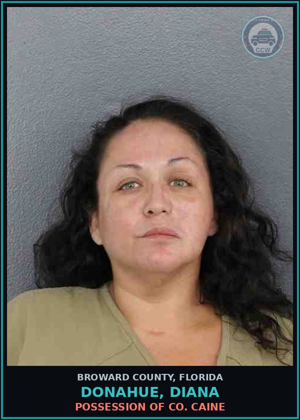 Booking mugshot of DONAHUE, DIANA in Broward County