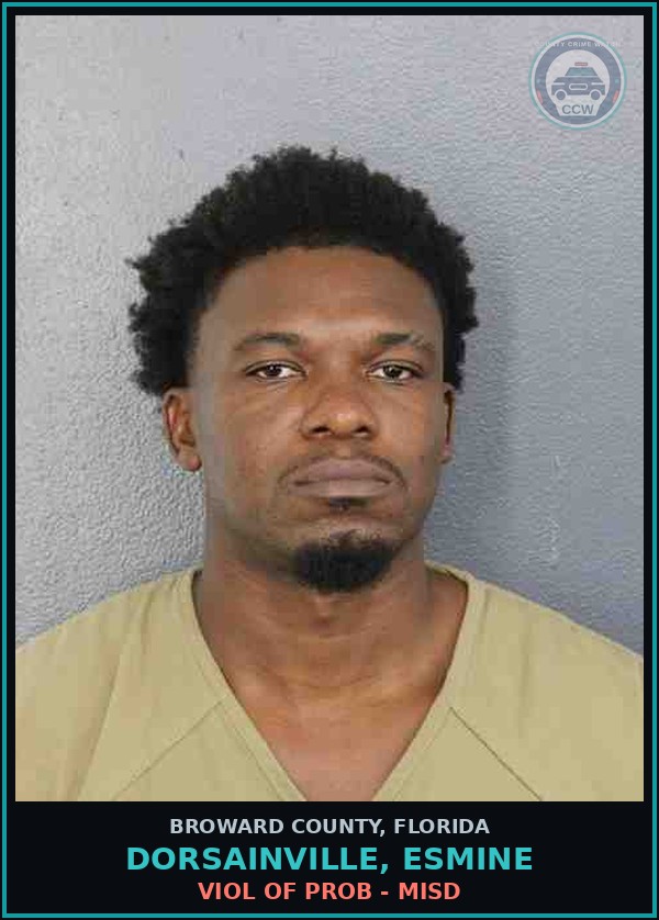 Booking mugshot of DORSAINVILLE, ESMINE in Broward County
