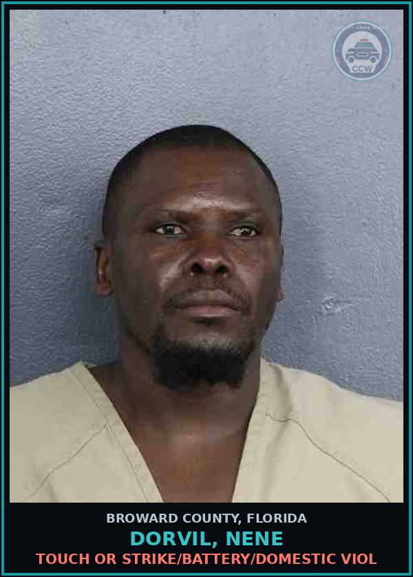 Booking mugshot of DORVIL, NENE in Broward County