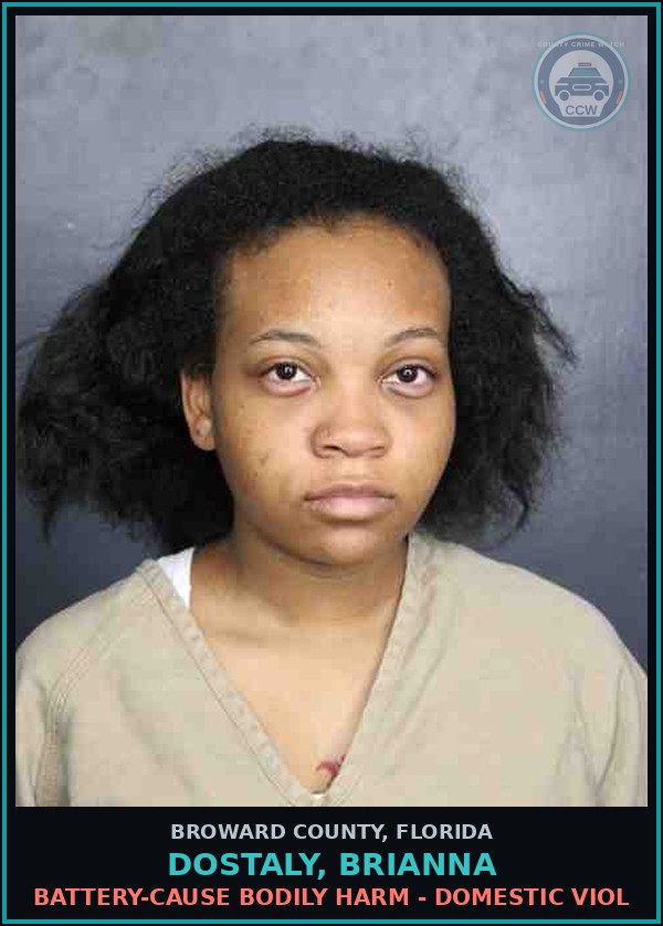 Booking mugshot of DOSTALY, BRIANNA in Broward County