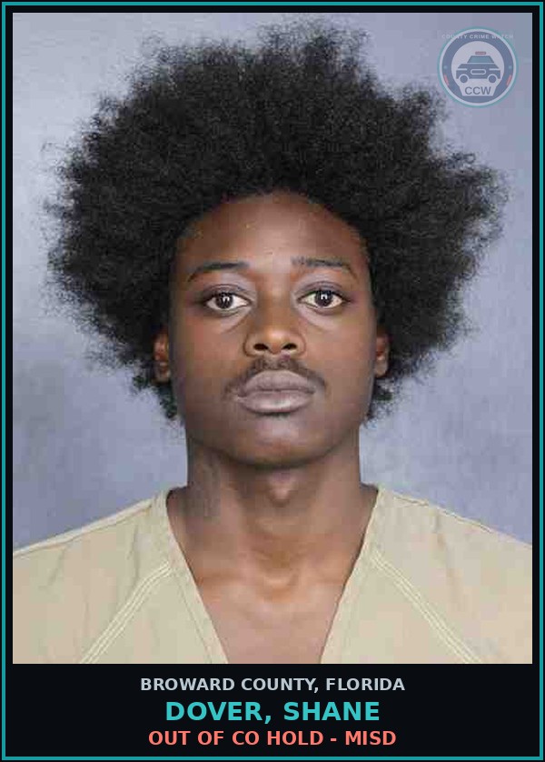 Booking mugshot of DOVER, SHANE in Broward County