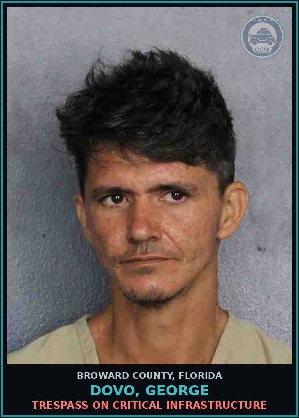 Booking mugshot of DOVO, GEORGE in Broward County