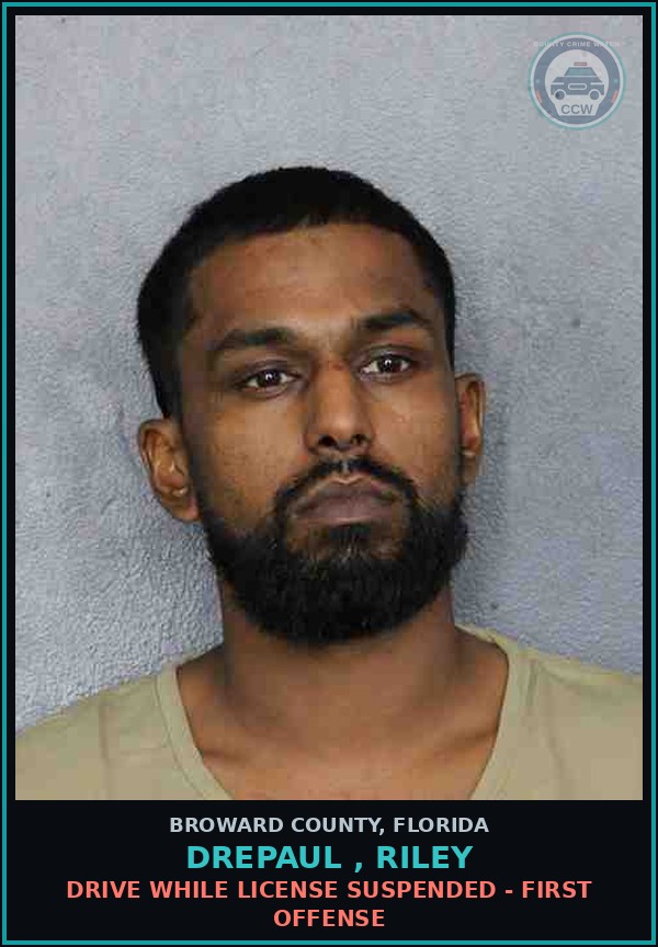 Booking mugshot of DREPAUL , RILEY in Broward County