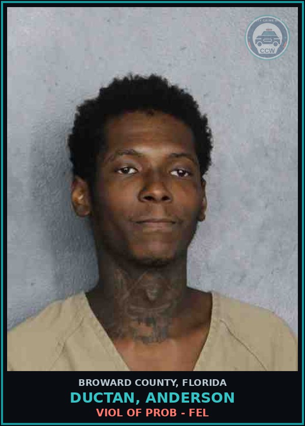 Booking mugshot of DUCTAN, ANDERSON in Broward County