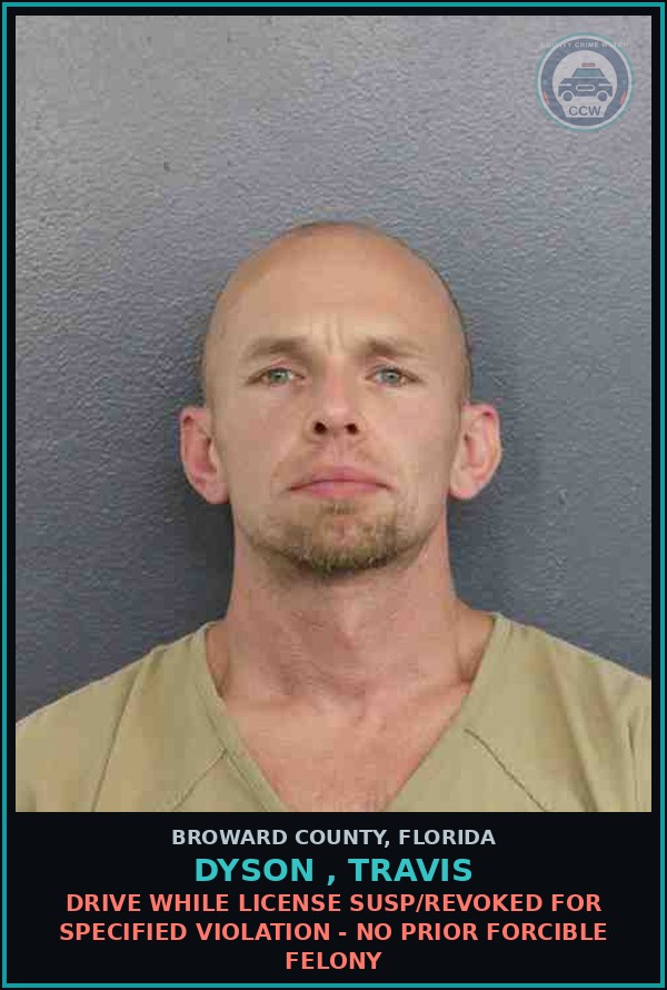 Booking mugshot of DYSON , TRAVIS in Broward County