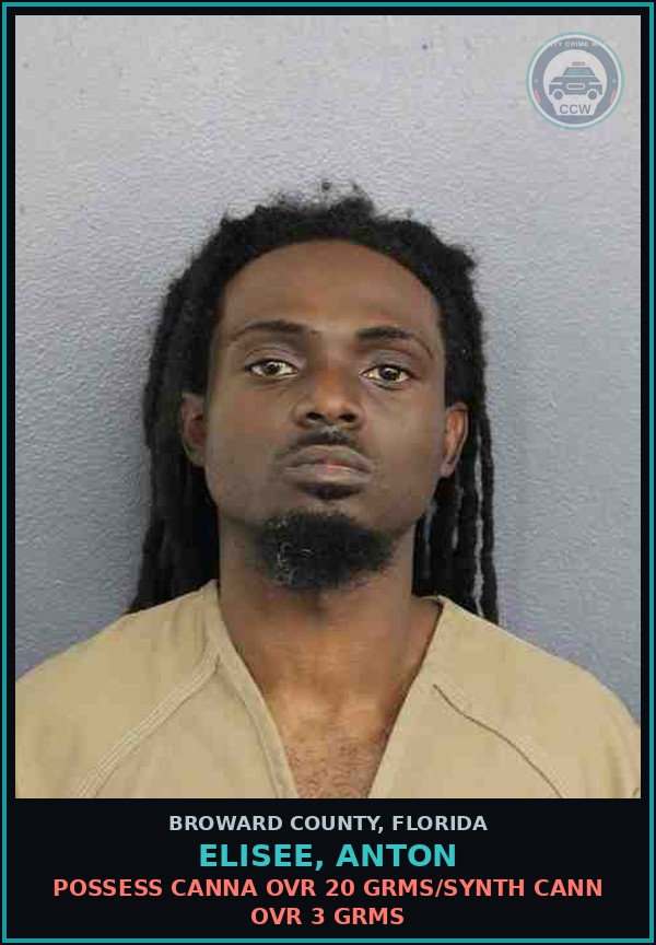 Booking mugshot of ELISEE, ANTON in Broward County