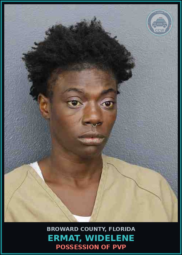 Booking mugshot of ERMAT, WIDELENE in Broward County