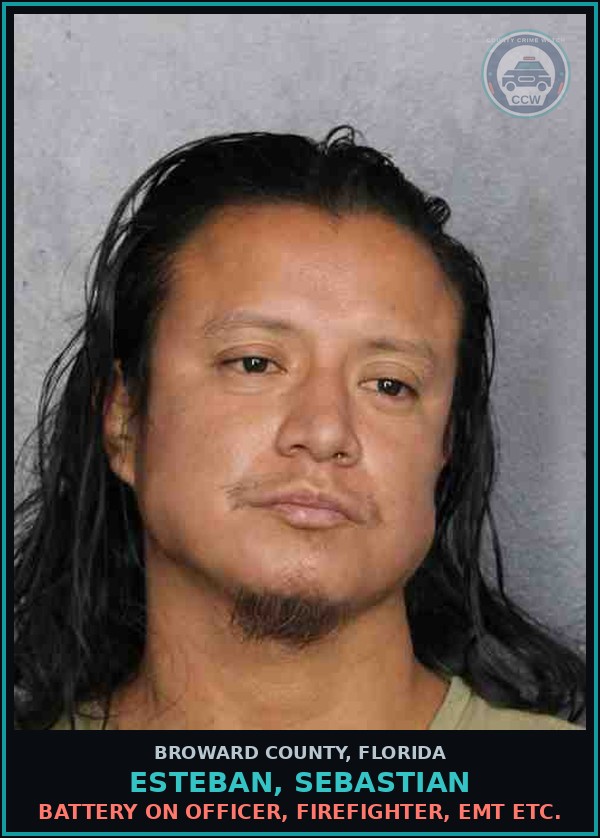 Booking mugshot of ESTEBAN, SEBASTIAN in Broward County