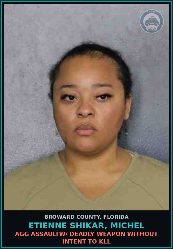 Booking mugshot of ETIENNE SHIKAR, MICHEL in Broward County