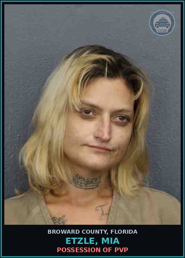 Booking mugshot of ETZLE, MIA in Broward County