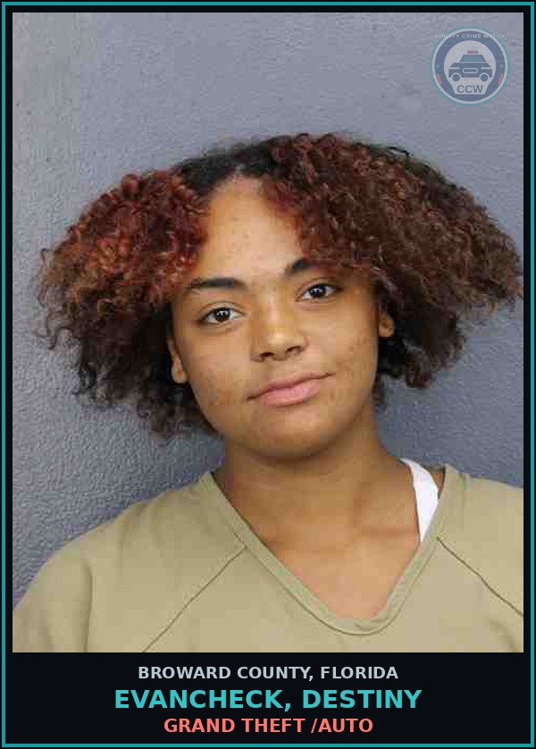 Booking mugshot of EVANCHECK, DESTINY in Broward County