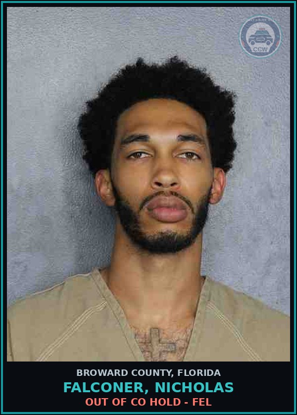 Booking mugshot of FALCONER, NICHOLAS in Broward County
