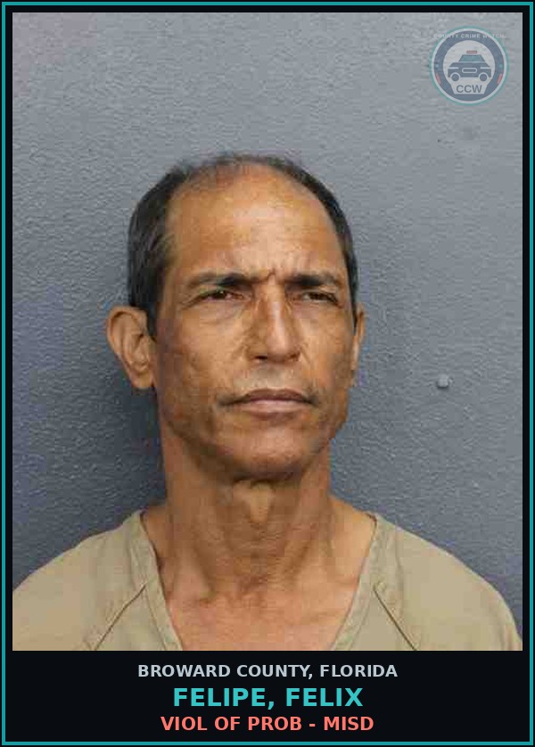 Booking mugshot of FELIPE, FELIX in Broward County