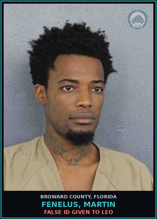 Booking mugshot of FENELUS, MARTIN in Broward County