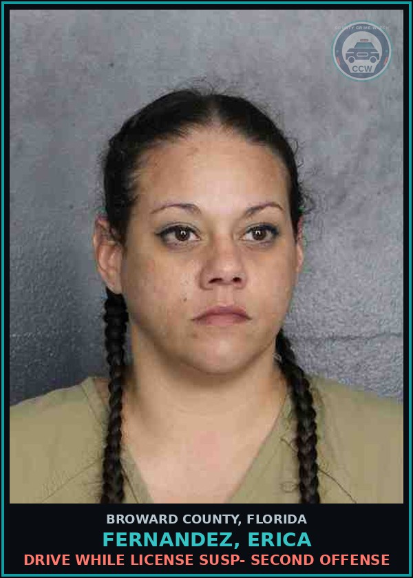 Booking mugshot of FERNANDEZ, ERICA in Broward County