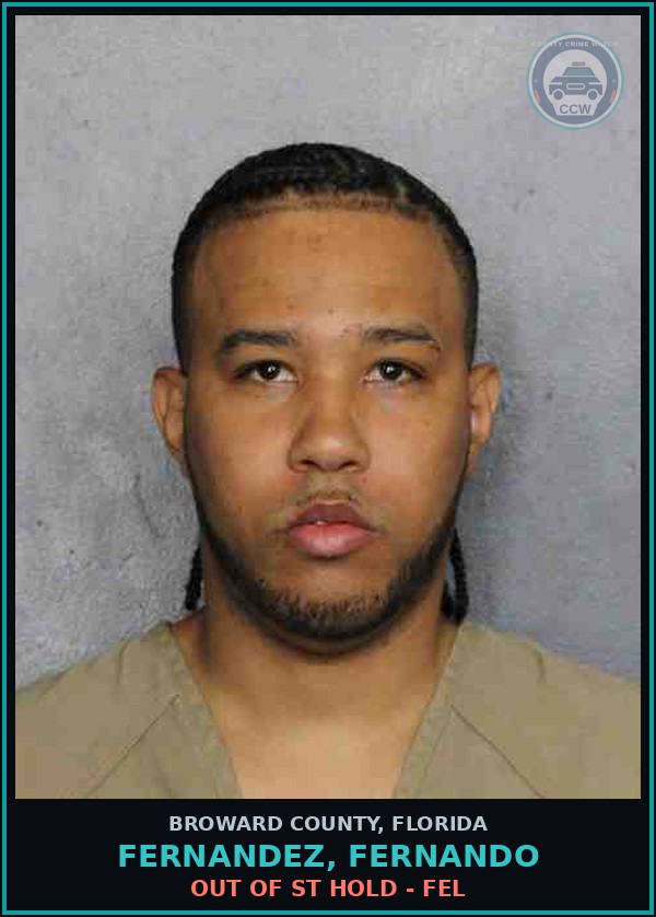 Booking mugshot of FERNANDEZ, FERNANDO in Broward County