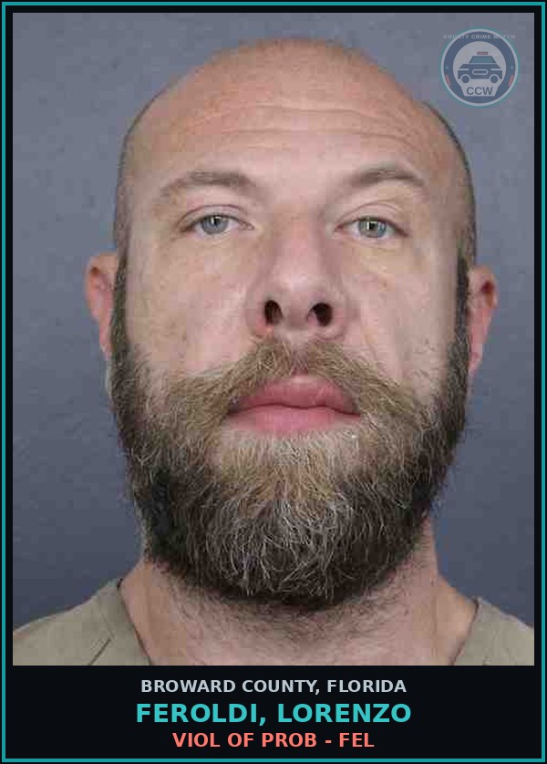 Booking mugshot of FEROLDI, LORENZO in Broward County