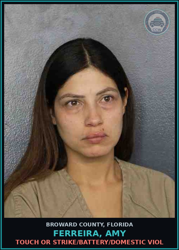 Booking mugshot of FERREIRA, AMY in Broward County