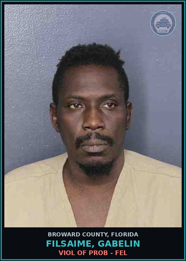 Booking mugshot of FILSAIME, GABELIN in Broward County