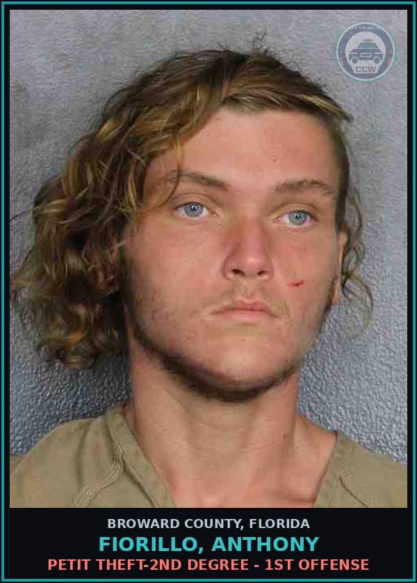 Booking mugshot of FIORILLO, ANTHONY in Broward County