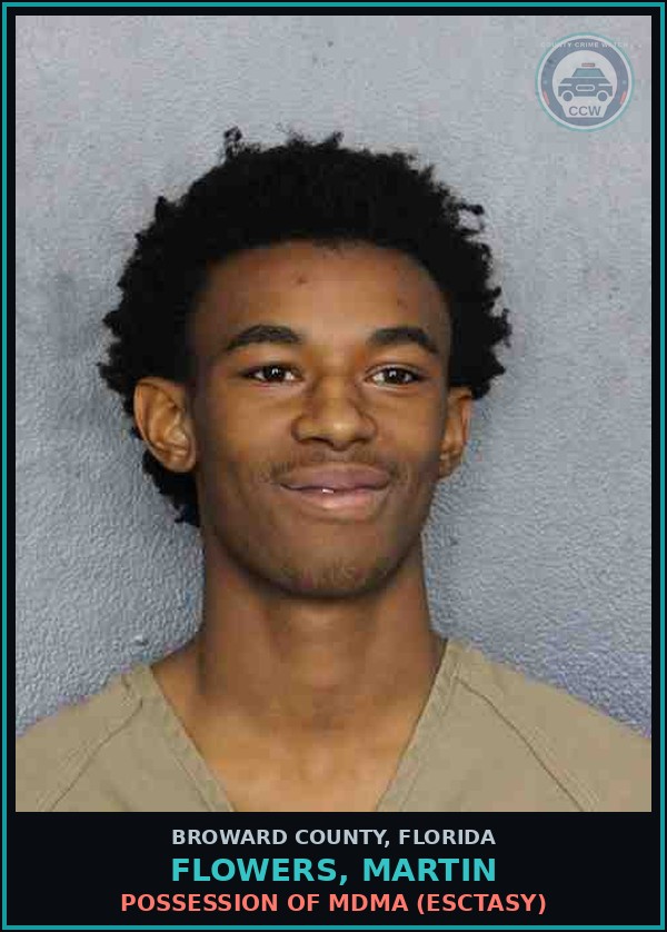 Booking mugshot of FLOWERS, MARTIN in Broward County