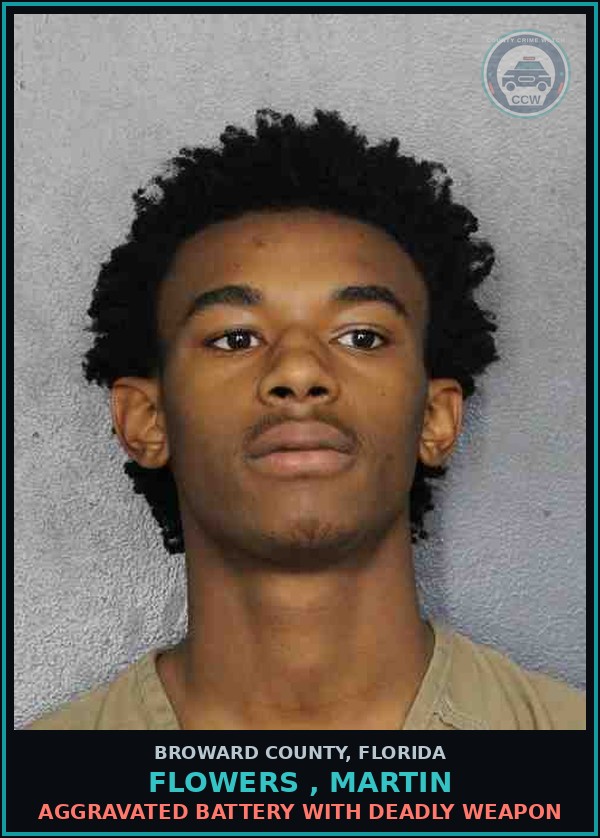 Booking mugshot of FLOWERS , MARTIN in Broward County