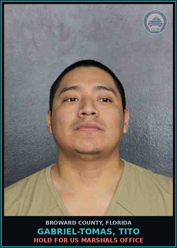 Booking mugshot of GABRIEL-TOMAS, TITO in Broward County