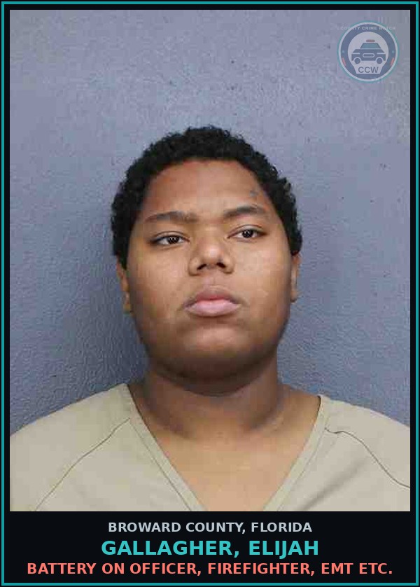 Booking mugshot of GALLAGHER, ELIJAH in Broward County