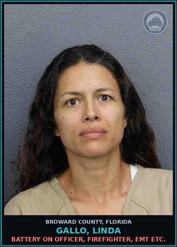 Booking mugshot of GALLO, LINDA in Broward County