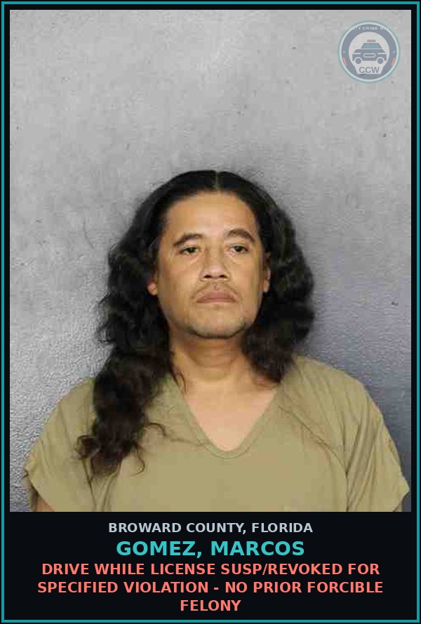 Booking mugshot of GOMEZ, MARCOS in Broward County